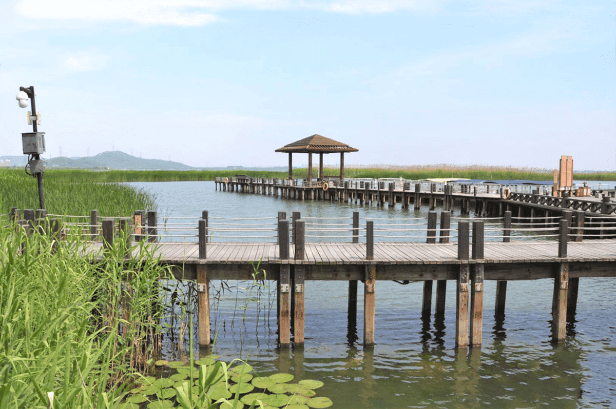 ���ι��� - ����